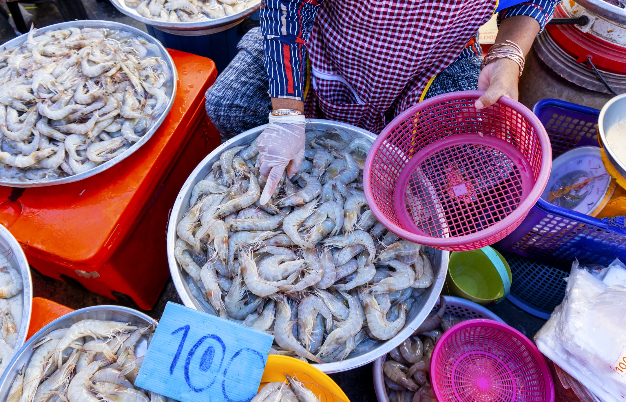 2022 foodstory WHITESHRIM Pofthe PACIFIC