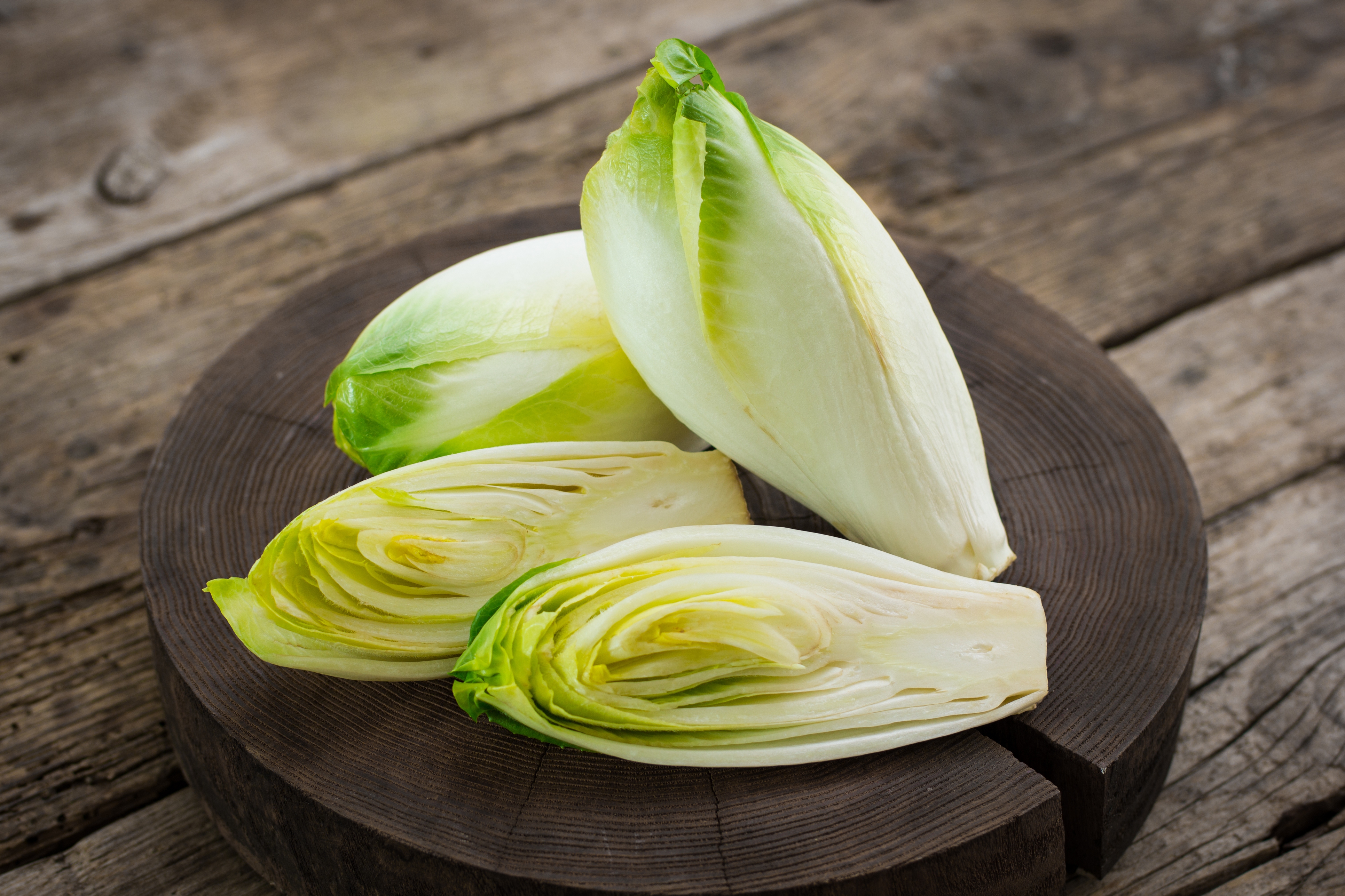 2022 foodstory chicory whitloof endive