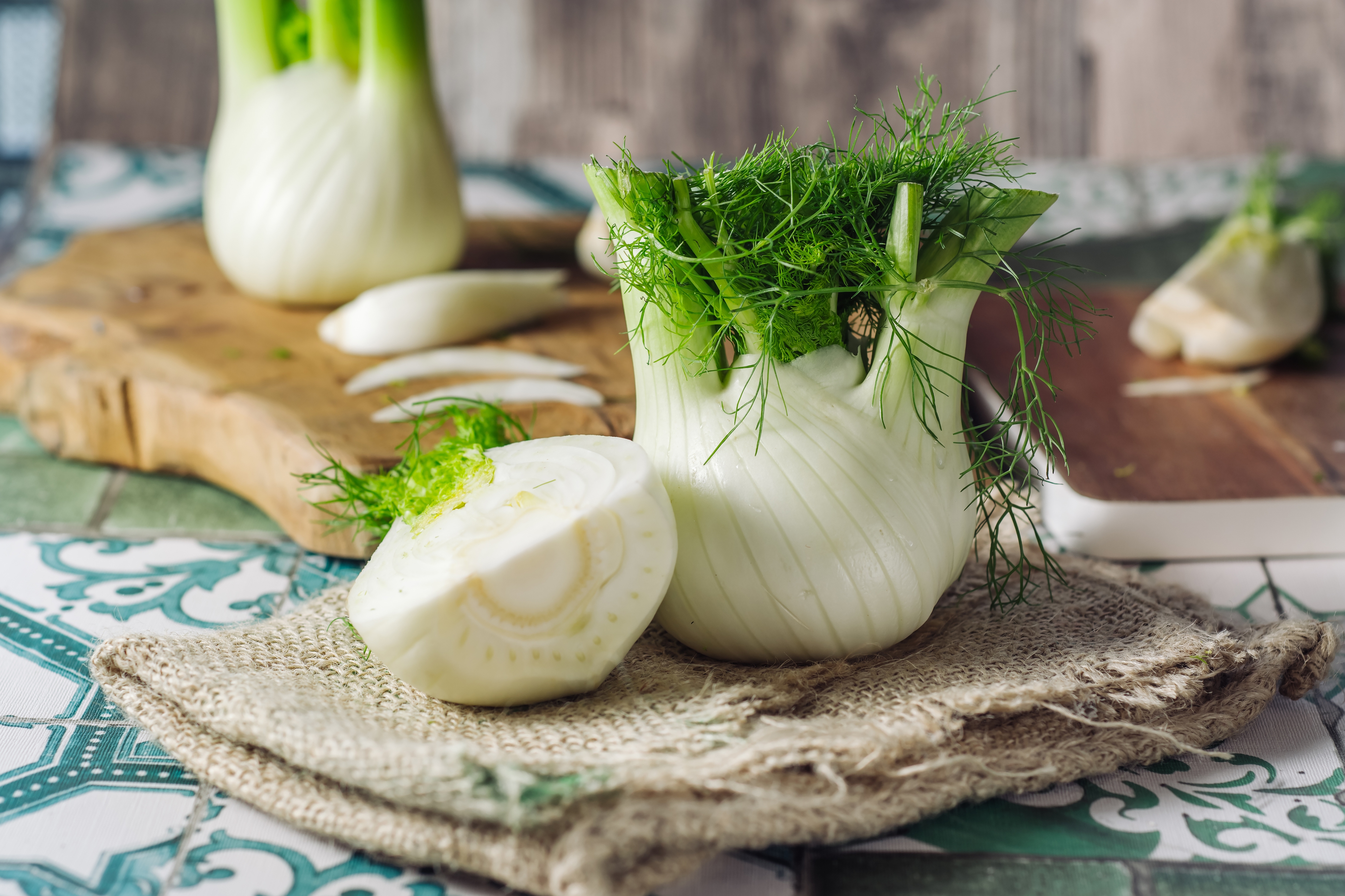 2022 foodstory fennel bulb